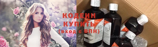 сатива Инсар