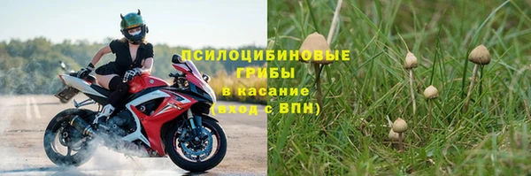spice Зеленодольск