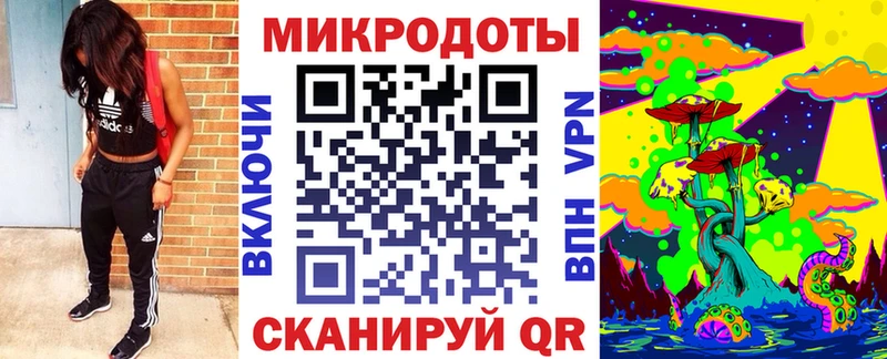 Галлюциногенные грибы Psilocybe Каргополь